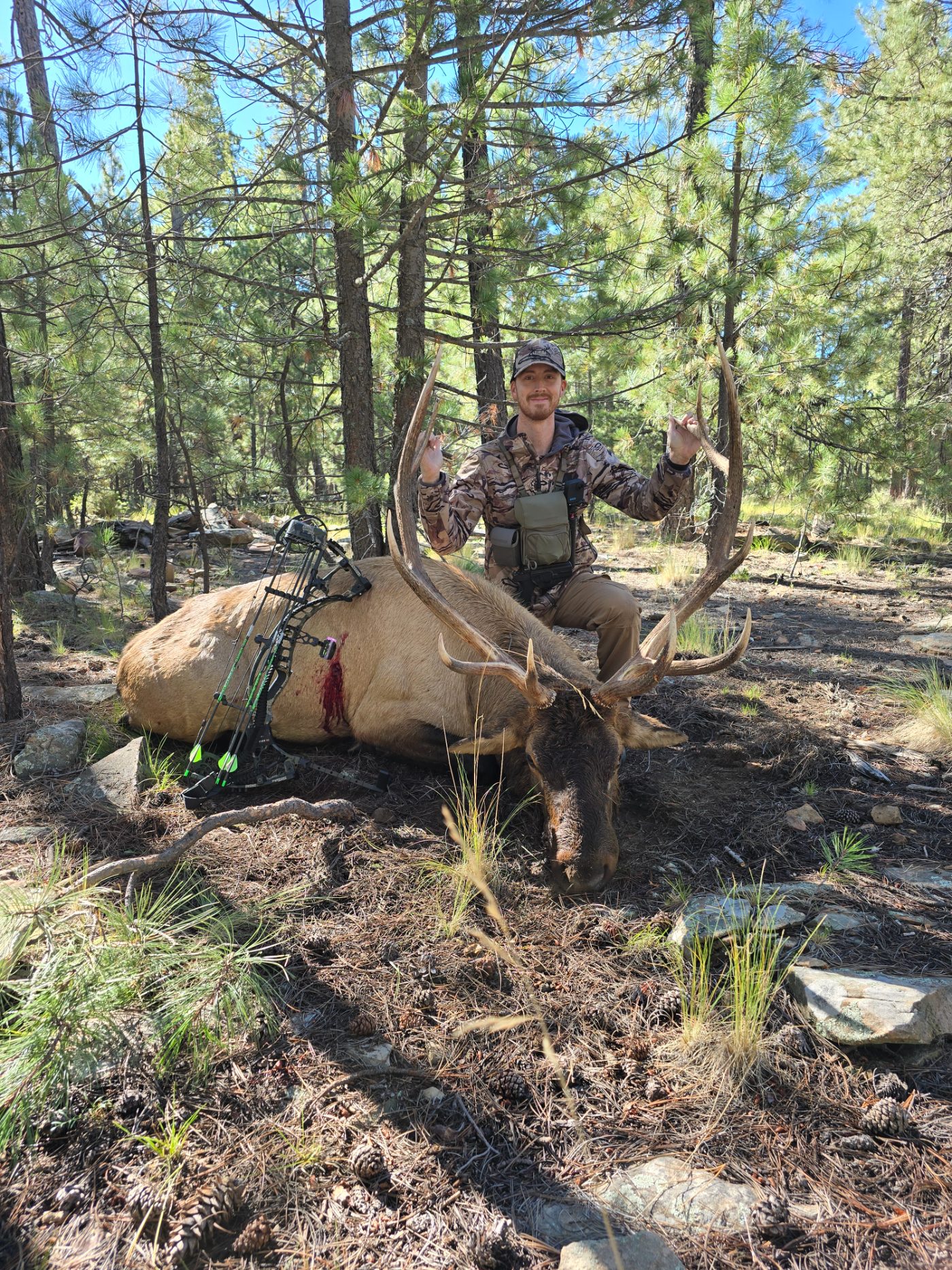 Matthew Osborn bowhunting a bull elk in Arizona